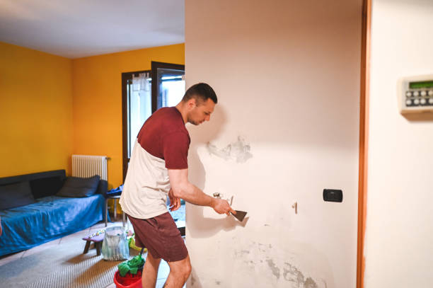 Best Post-Flood Mold Remediation in San Ramon, CA